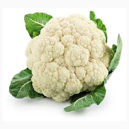 Fresh Cauliflower Wholesaler in Mandsaur