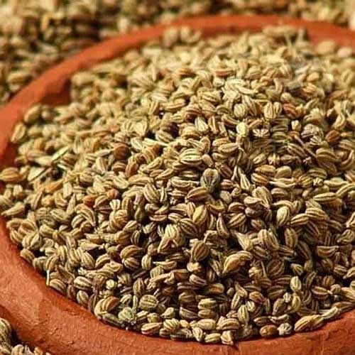 Largest Carom Seeds Supplier in Mandsaur